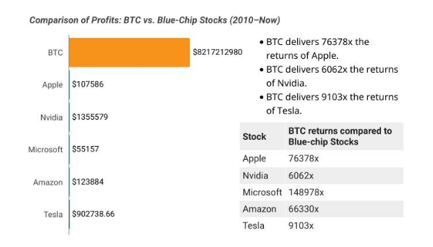 BTC Vs. Blue-Chips Profitability From 2010 until Today: Source|NFT Evening