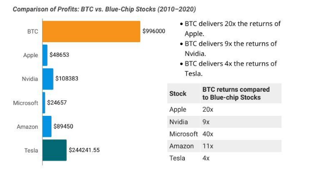 BTC Vs. Blue Chip Stocks Profitability Between 2010-2020: Source| NFT Evening